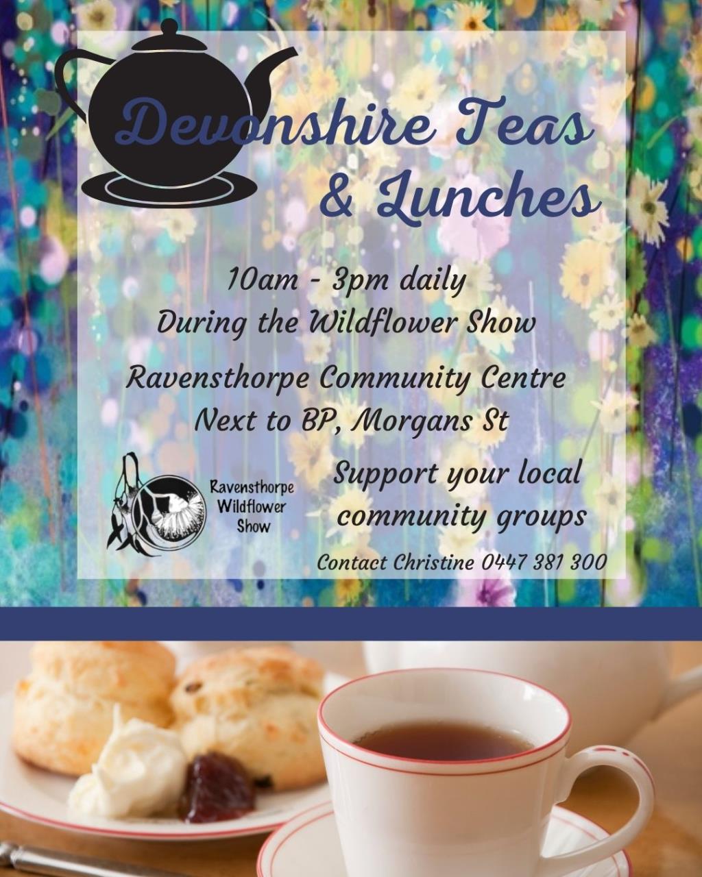 Devonshire tea and lunch