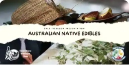 Bush Food Presentation